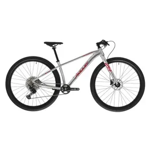 Juniorský horský bicykel AMULET (II. Quality) 29 Youngster 1.11 SH, alu brushed transparent red Juniorský horský bicykel AMULET (II. Quality) 29 Youngster 1.11 SH, alu brushed transparent red