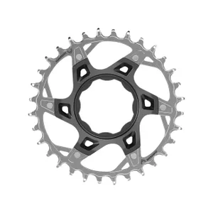 SRAM prevodník - XX TQ 32z T-TYPE - strieborná/čierna SRAM prevodník - XX TQ 32z T-TYPE - strieborná/čierna