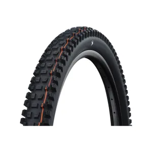 SCHWALBE plášť - ALBERT GRAVITY PRO 29x2.50 EVOLUTION 67EPI - čierna SCHWALBE plášť - ALBERT GRAVITY PRO 29x2.50 EVOLUTION 67EPI - čierna