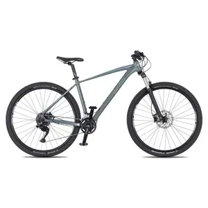 4EVER FRONTBEE foggy/silver - XL (21", 185-202 cm) 4EVER FRONTBEE foggy/silver - XL (21", 185-202 cm)