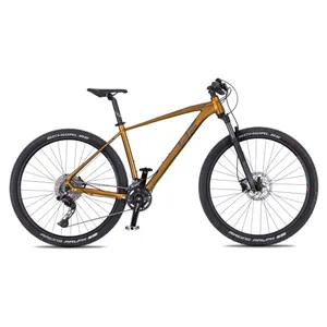 4EVER Firetrack 2025 dark gold / iron - XL (21", 185-202 cm) 4EVER Firetrack 2025 dark gold / iron - XL (21", 185-202 cm)