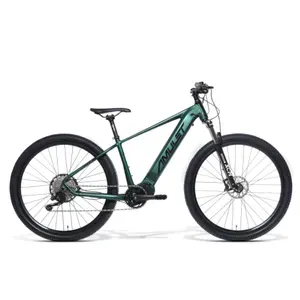 Horský elektrobicykel AMULET 29 eRival 5.0 SR, racing green black, před kontrolou Horský elektrobicykel AMULET 29 eRival 5.0 SR, racing green black, před kontrolou
