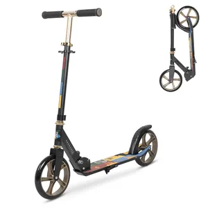 Skladacia kolobežka Harry Potter 200 mm Skladacia kolobežka Harry Potter 200 mm